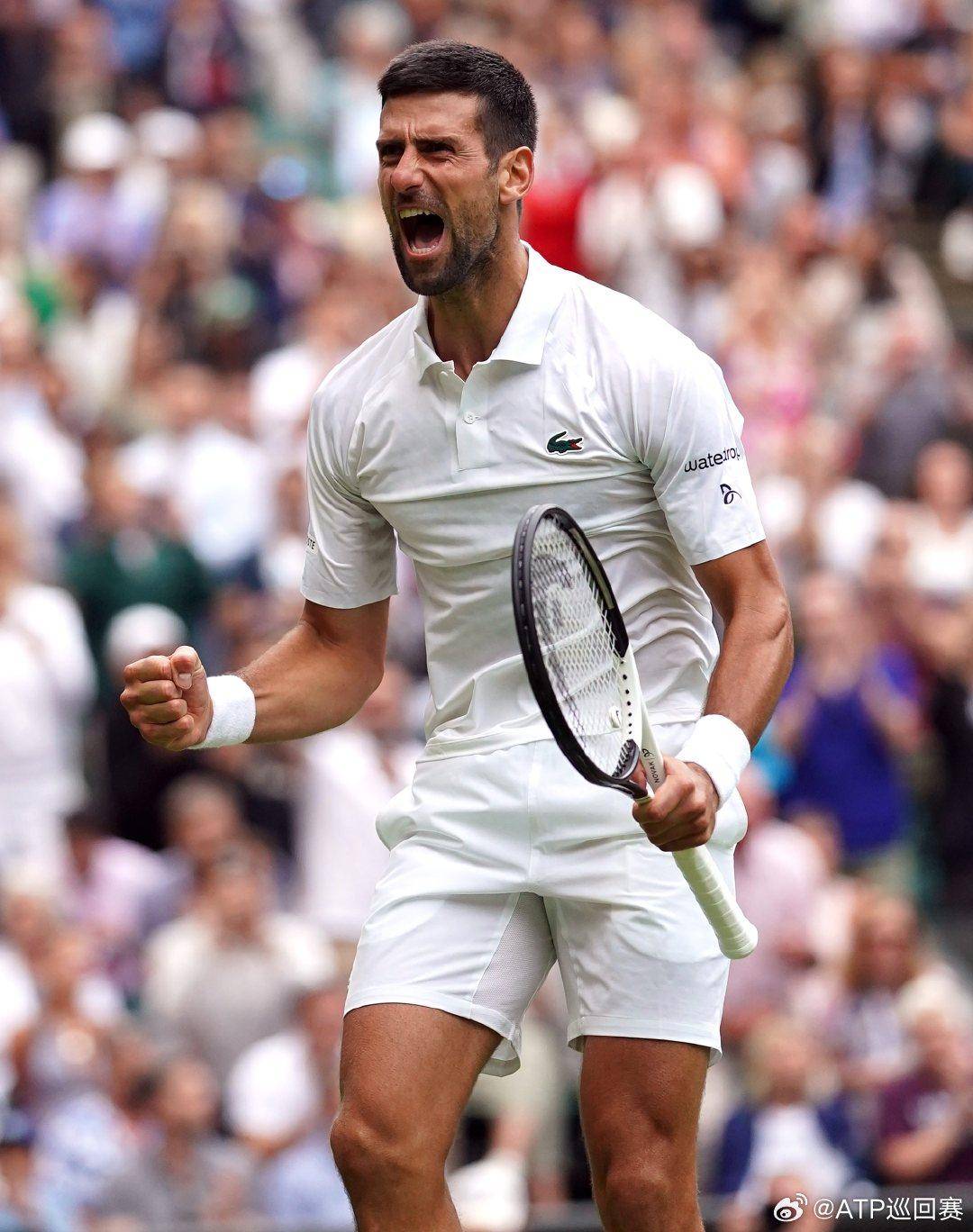 仅是高喊口 仅是高喊口